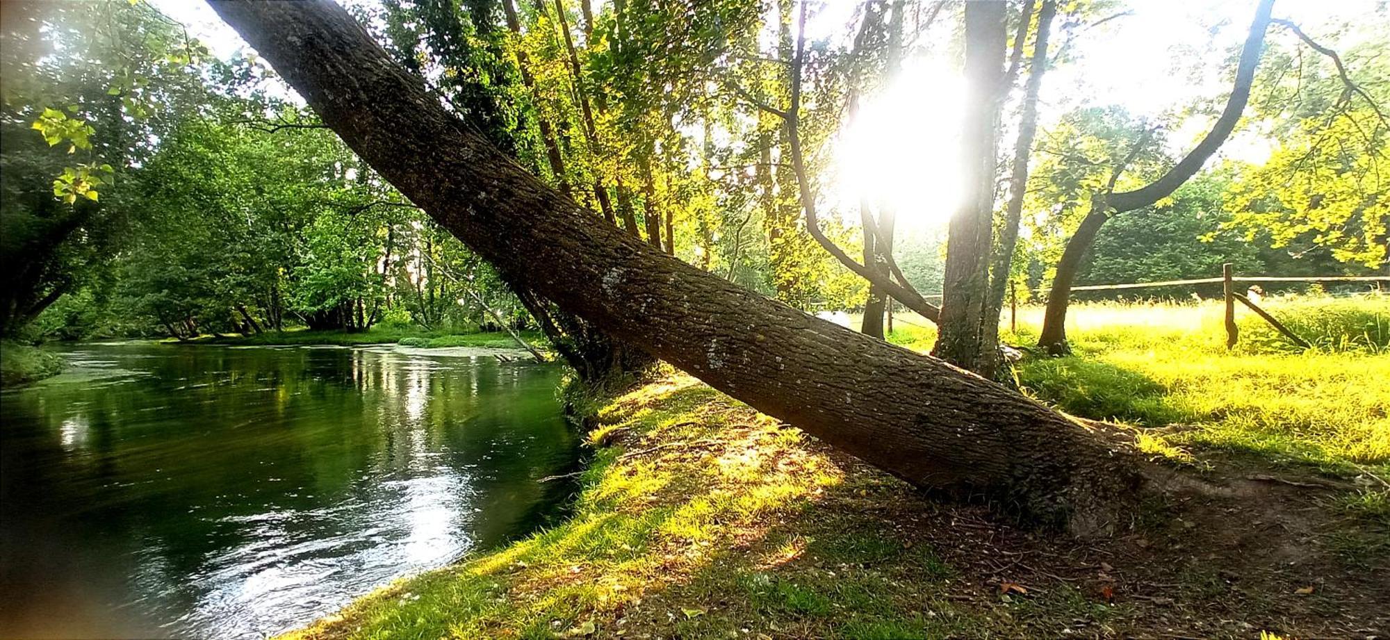 La Regina Del Bosco Villa Rivignano Kültér fotó