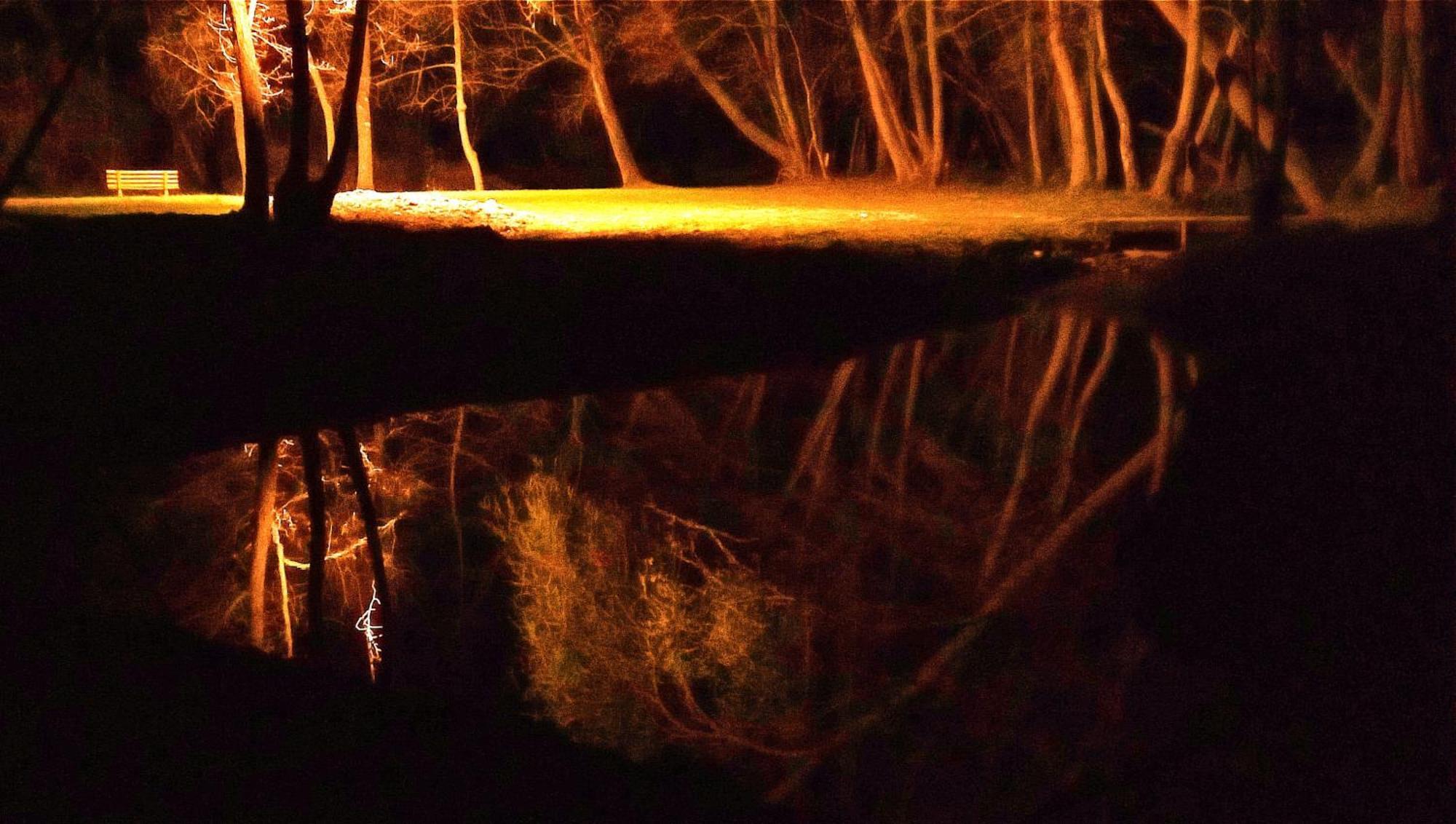 La Regina Del Bosco Villa Rivignano Kültér fotó