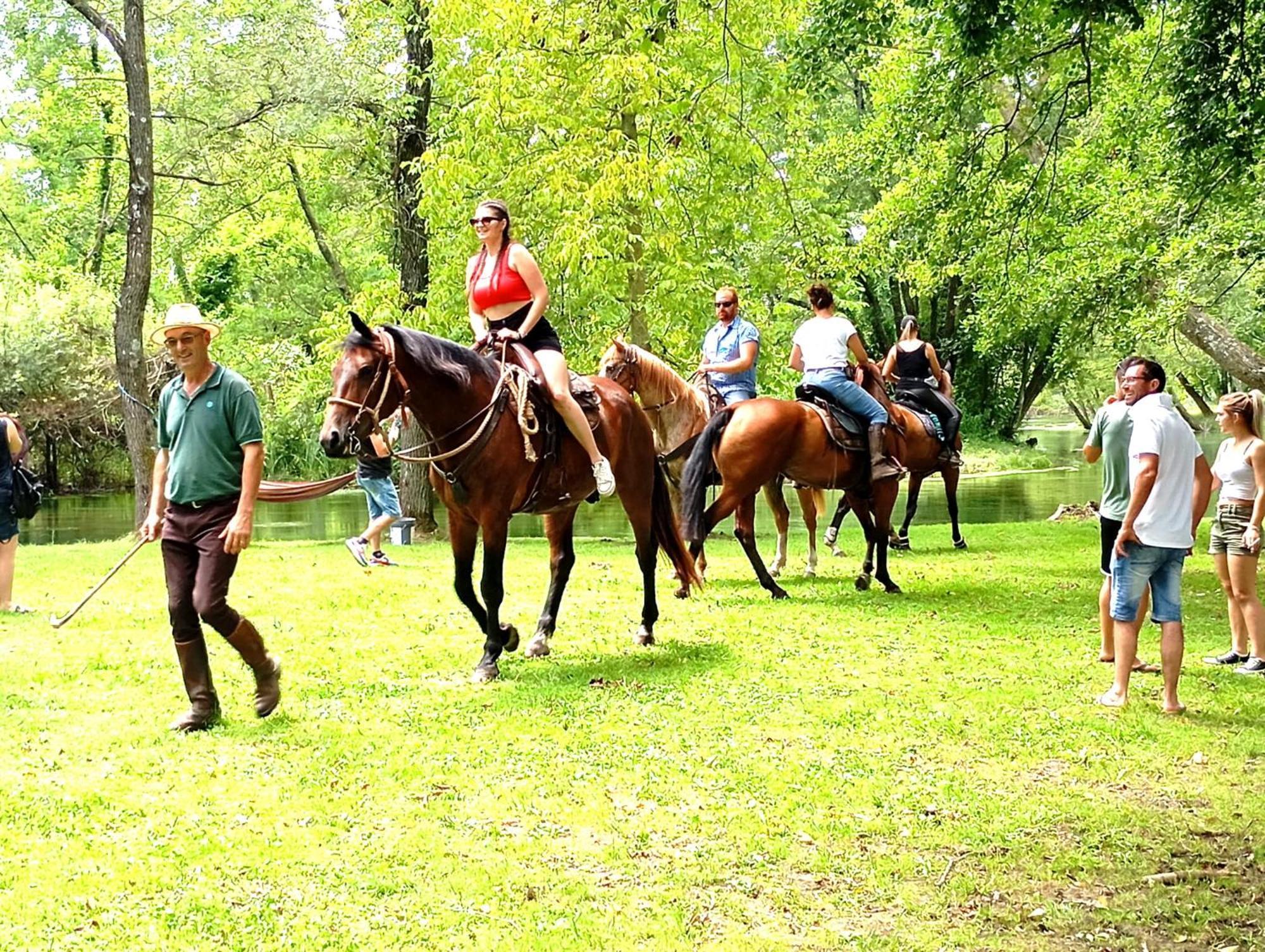 La Regina Del Bosco Villa Rivignano Kültér fotó